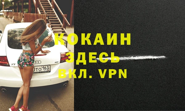 прущая мука Горняк