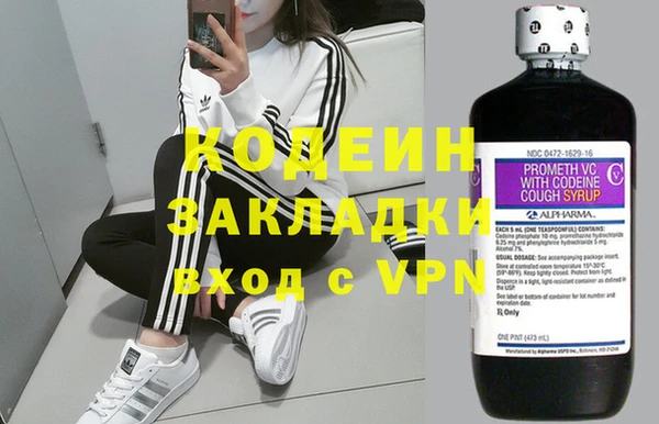 твердый Гусев